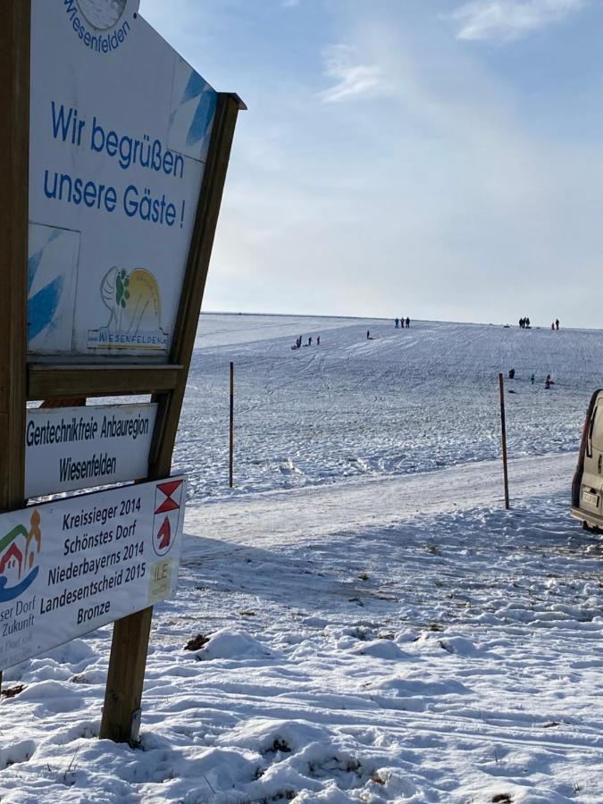 Grosszuegig Und Komfortabel:Ferienwohnung Im Bayerischen Wald! Wiesenfelden Exterior foto